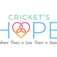 Cricket's Hope, Inc.