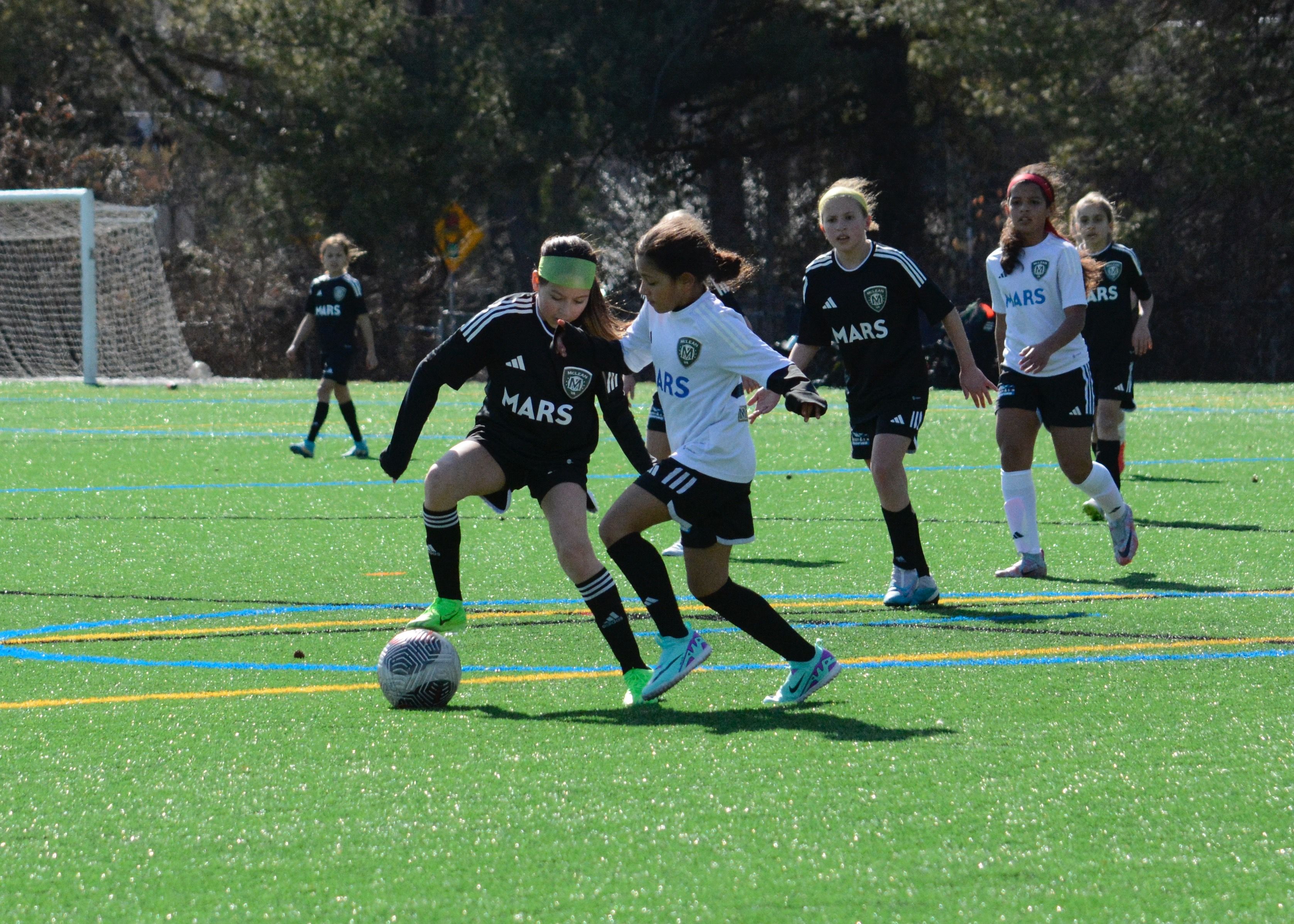 McLean Youth Soccer
