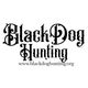 Black Dog Hunting