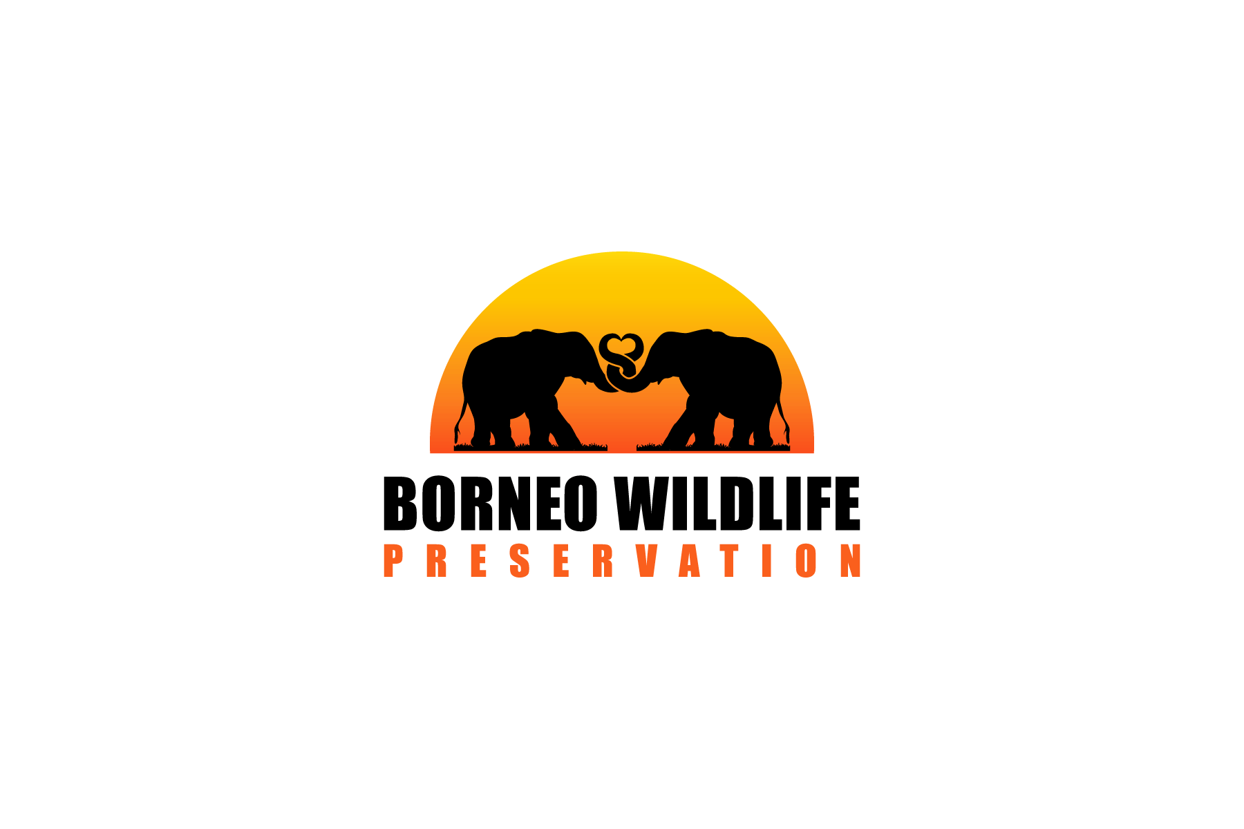 Borneo Wildlife Preservation