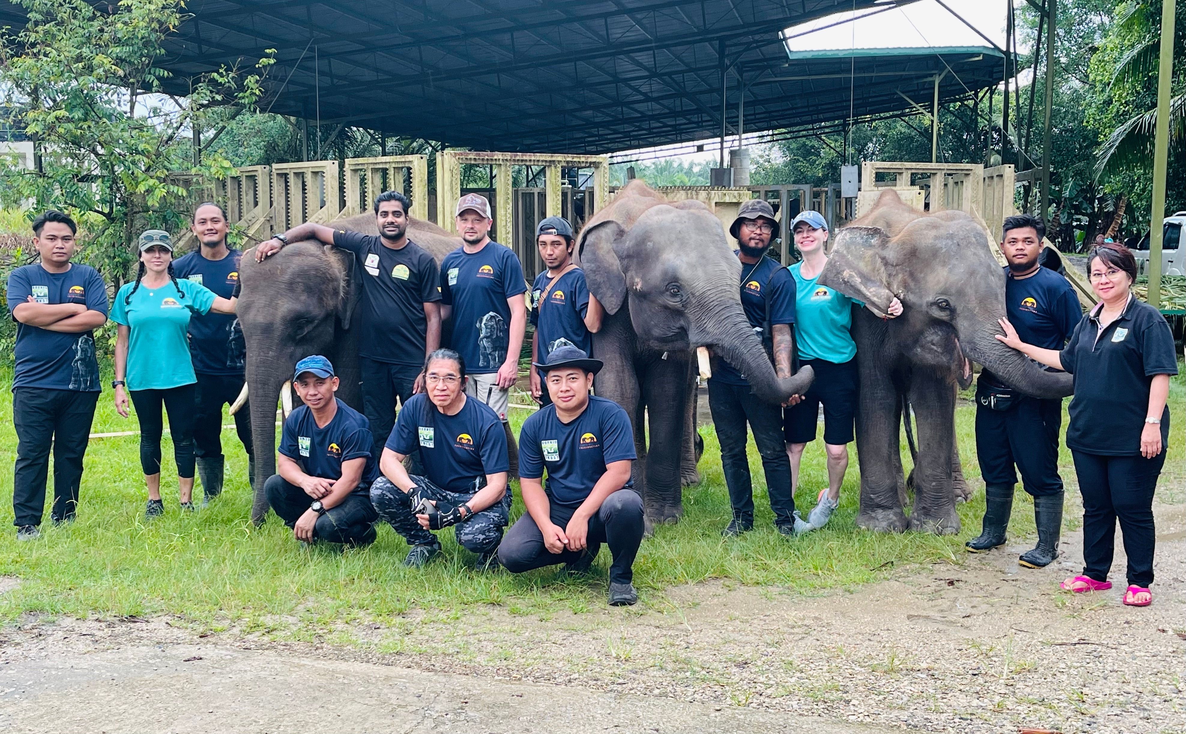 Borneo Wildlife Preservation