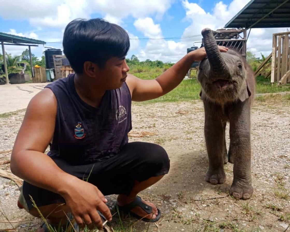 Borneo Wildlife Preservation