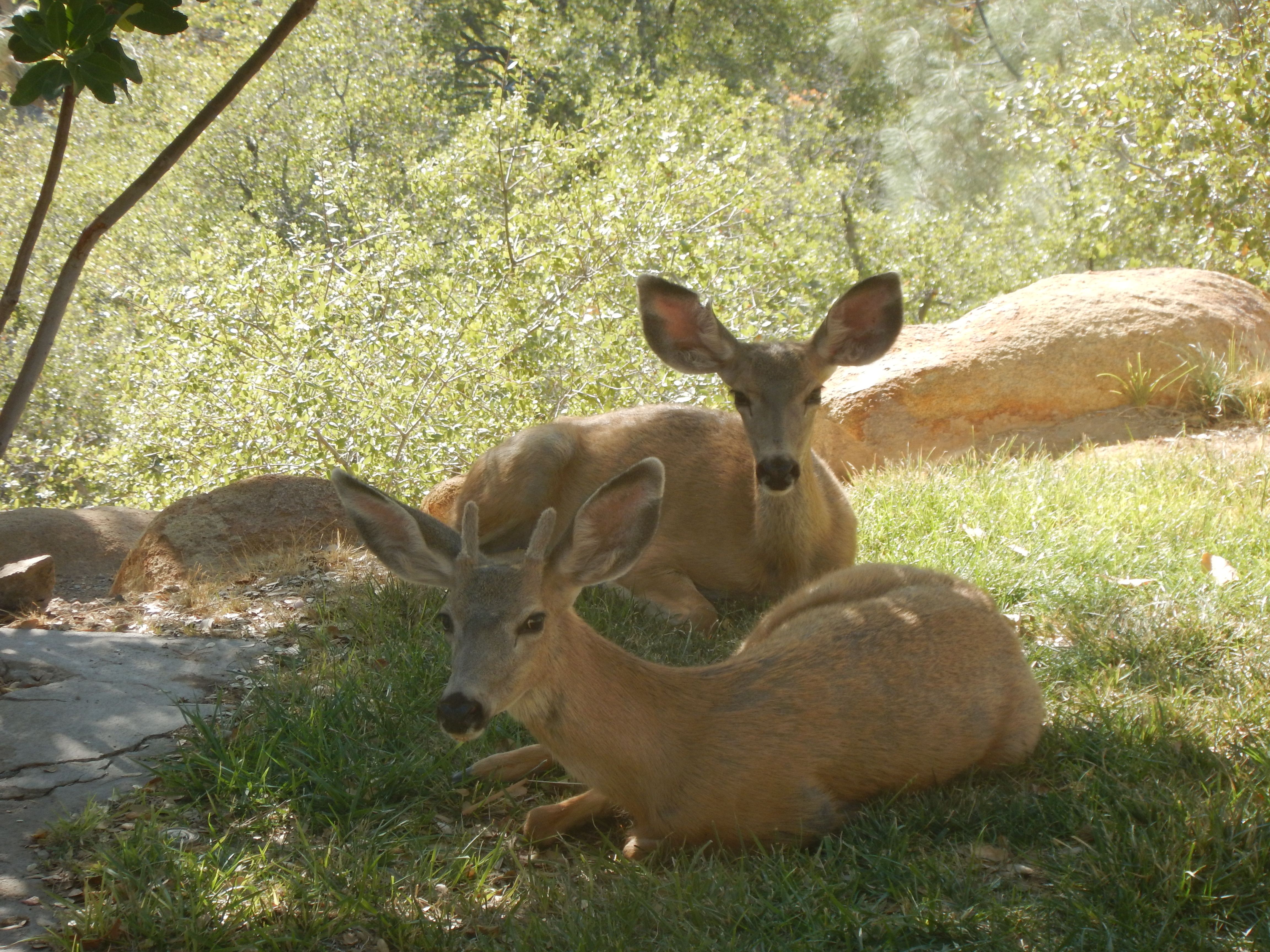 Conservation Congress