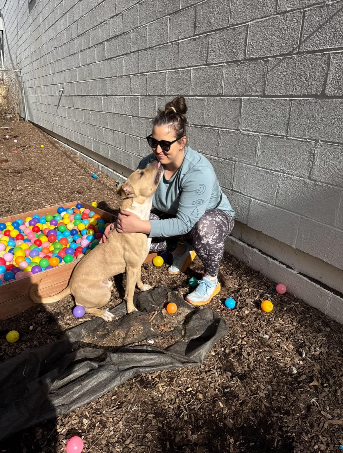Center for Animal Rescue & Enrichment of St. Louis