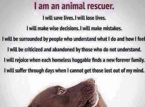 Baie Ste Marie Animal Society