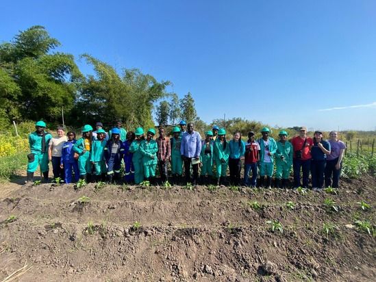 SERVE in Solidarity (Ireland)