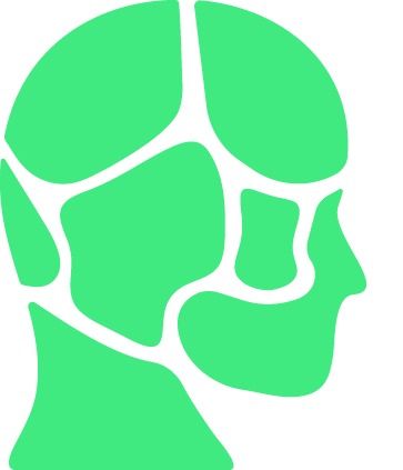 Headlines Craniofacial Support