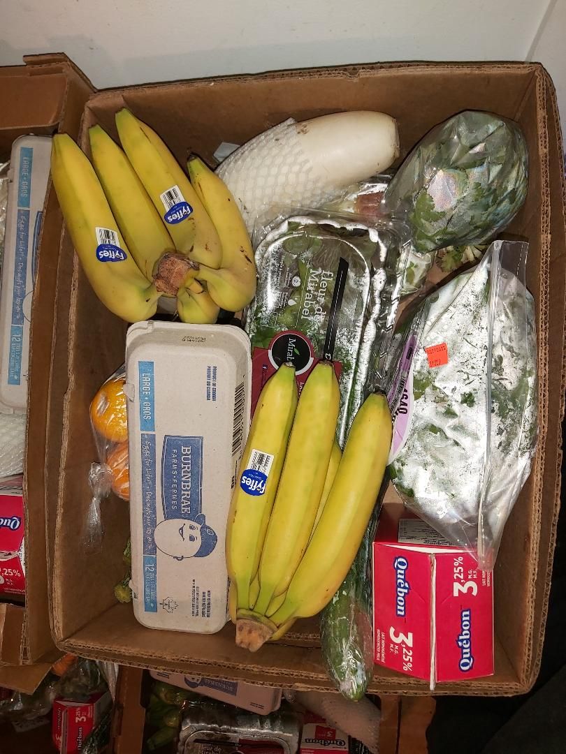 Vision Charitable, VICHA