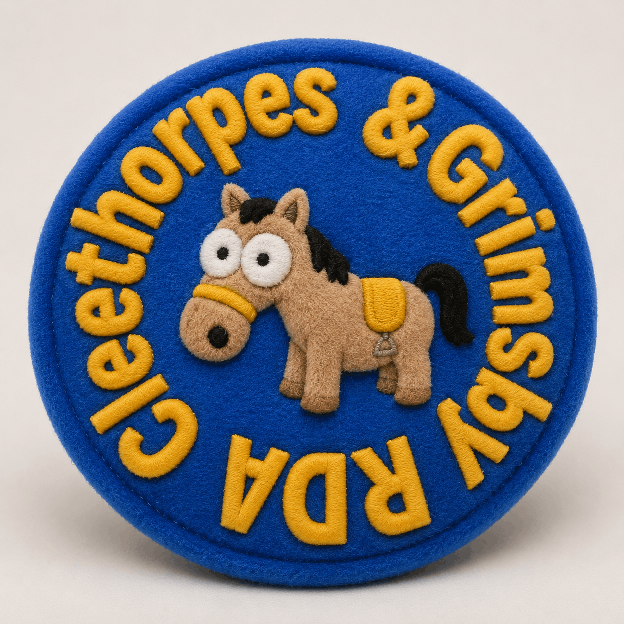 Cleethorpes & Grimsby Riding for the Disabled