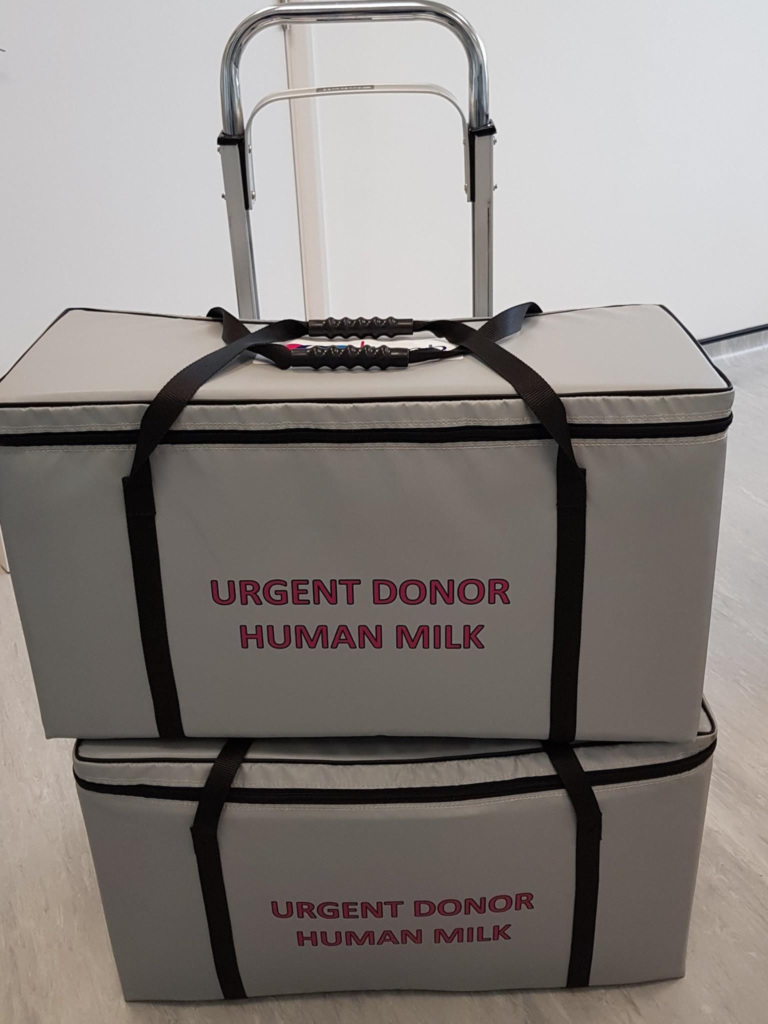 The Human Milk Foundation