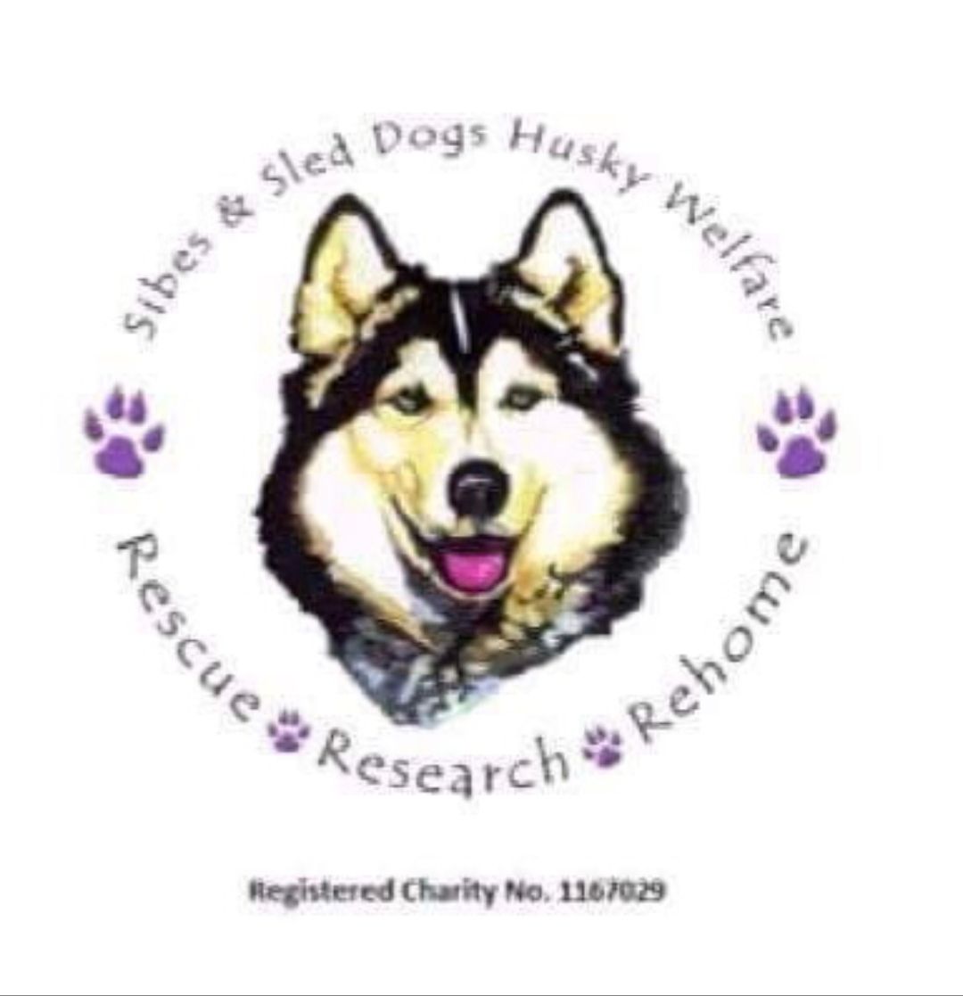 Sibes and Sled Dogs Husky Welfare Ltd