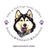 Sibes and Sled Dogs Husky Welfare Ltd