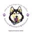 Sibes and Sled Dogs Husky Welfare Ltd