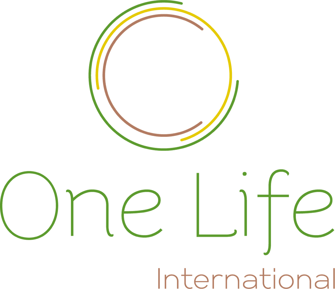 One Life International