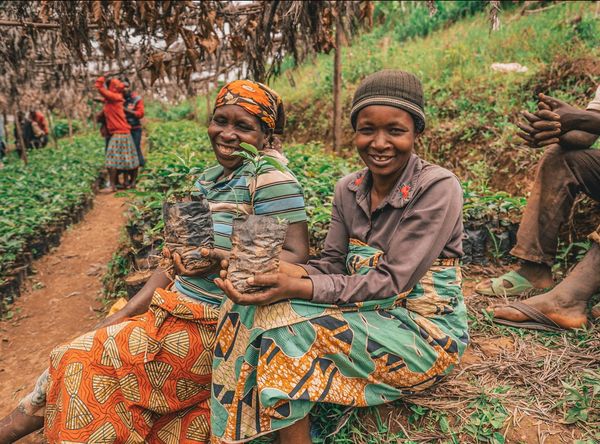 One Life International