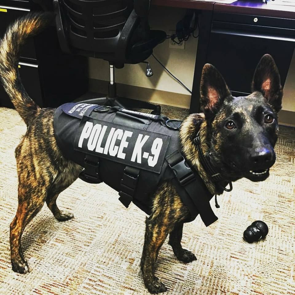 Capital K-9 Association