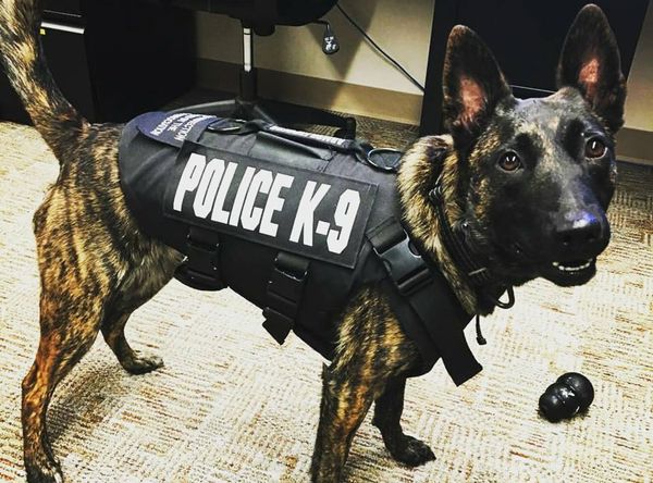 Capital K-9 Association