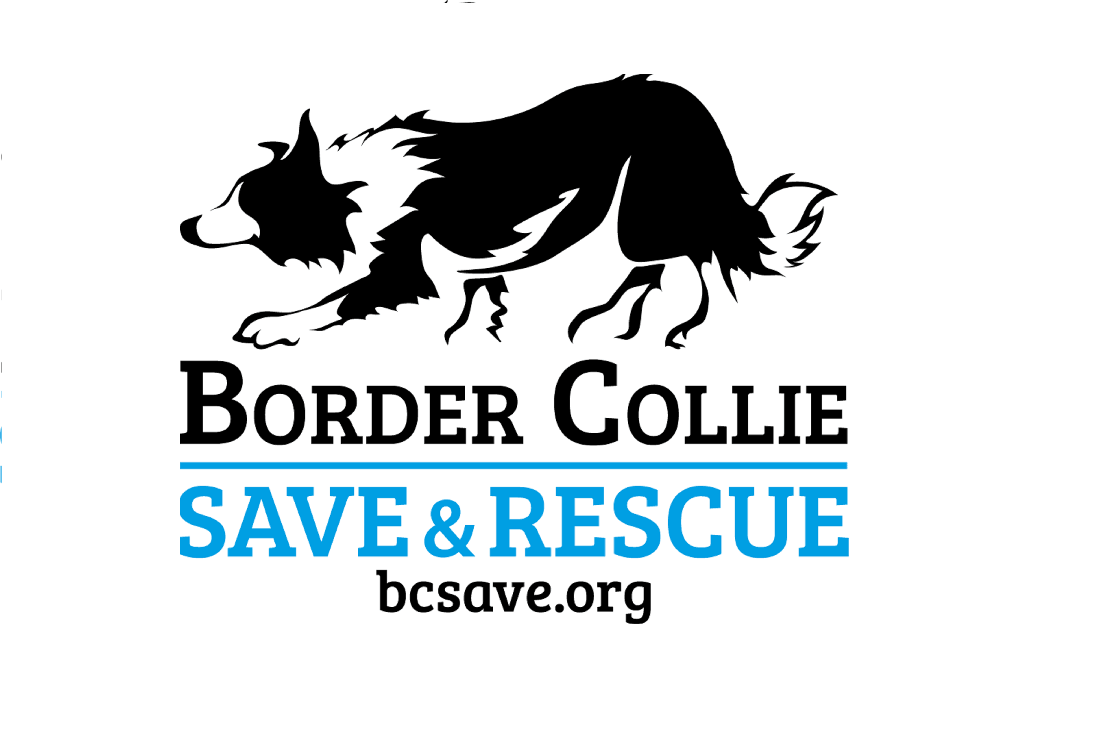 Border Collie Save and Rescue, Inc.
