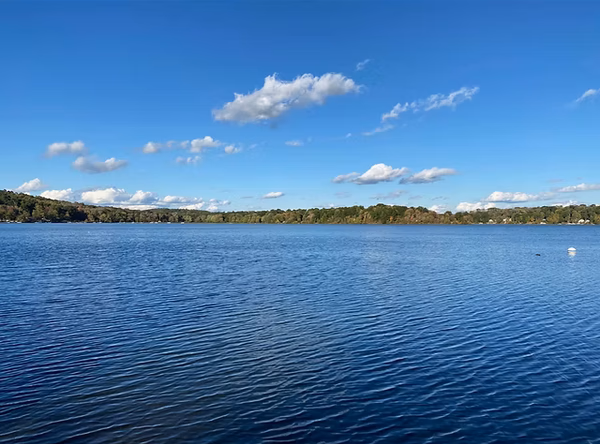 Bantam Lake Protective Association