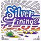 Deming Silver Linings