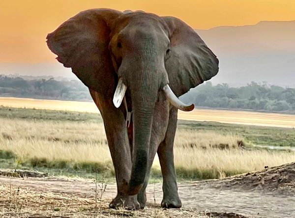 Bushlife Conservancy