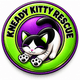 Kneady Kitty Rescue