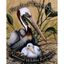 Friends of the Tampa Bay National Wildlife Refuges, Inc.