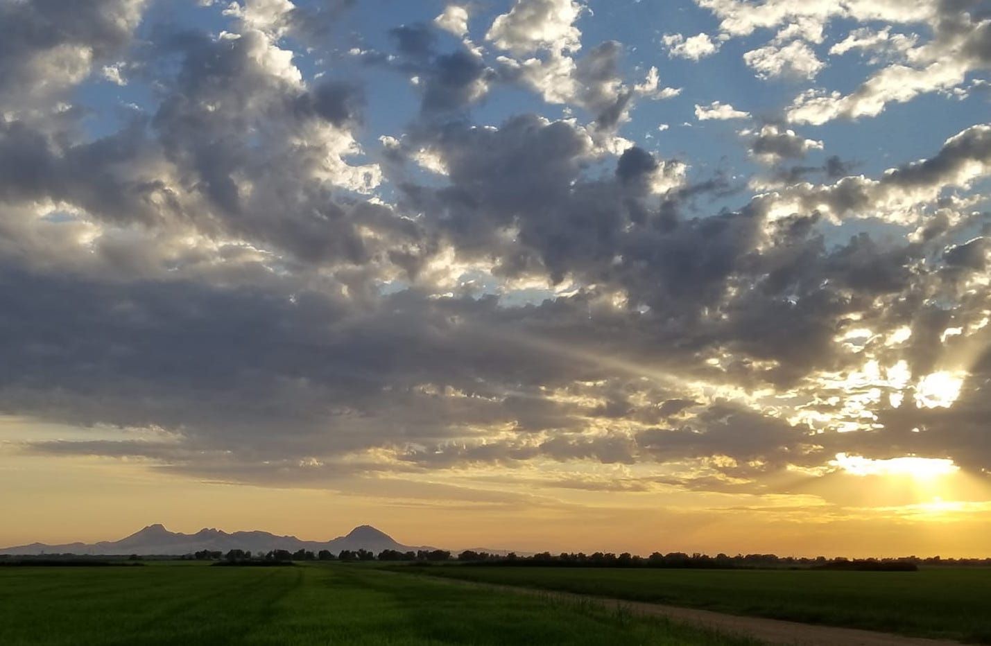 CA Heritage Indigenous Research Project