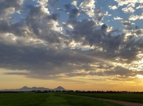 CA Heritage Indigenous Research Project