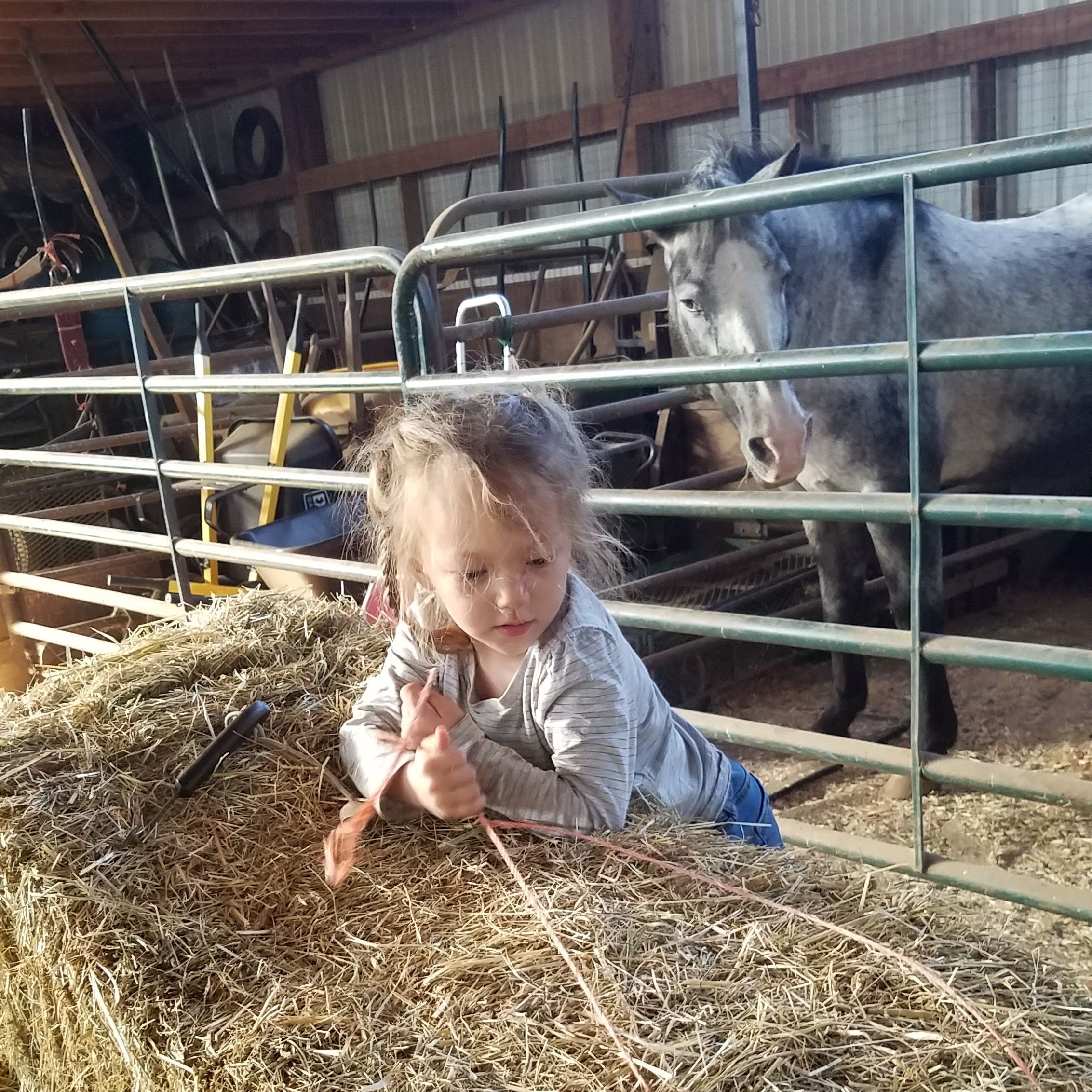 Hand In Hand Farm, Inc.