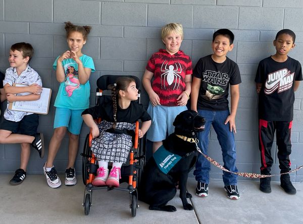 Pawsitive Friendships