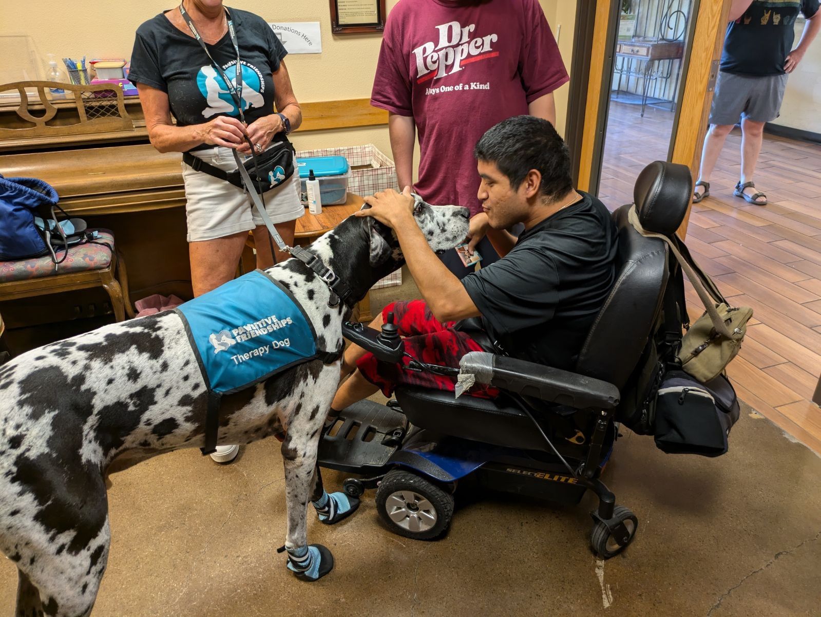 Pawsitive Friendships