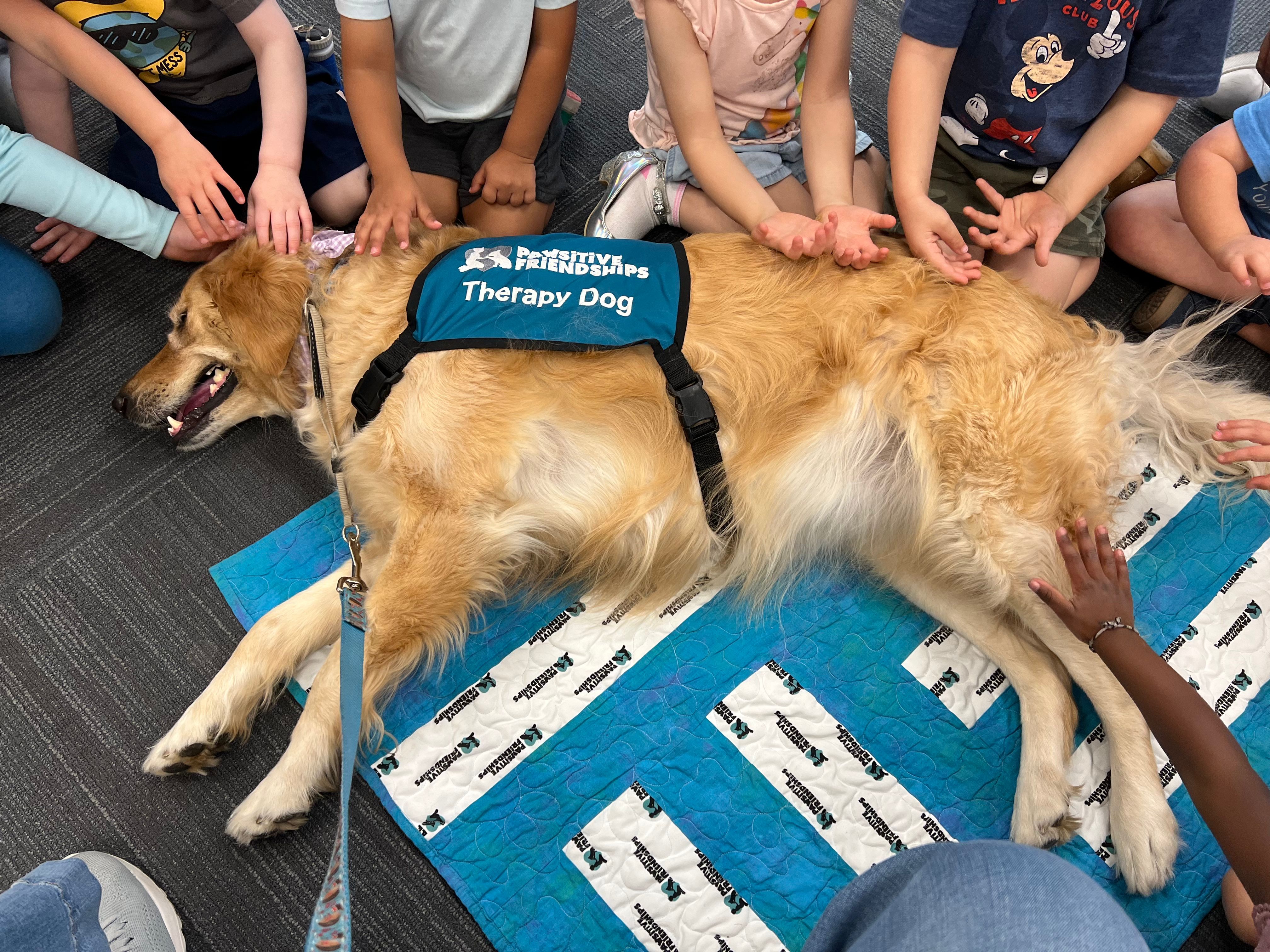 Pawsitive Friendships