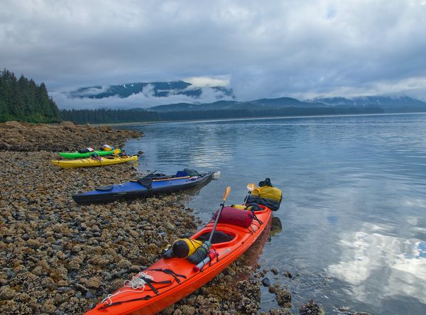 Alaska Wilderness League