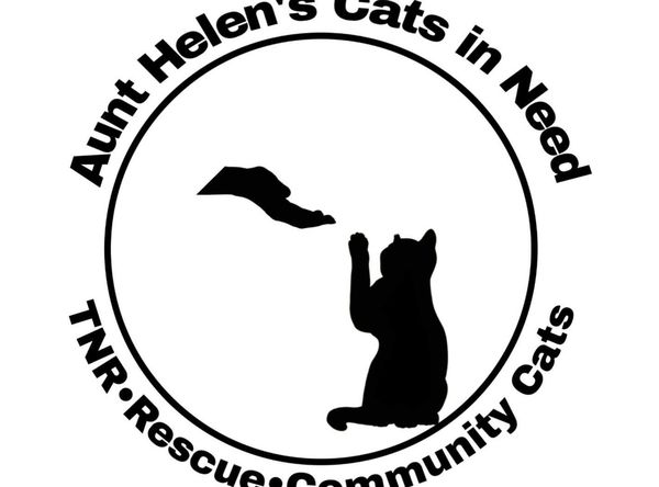 Aunt Helens Cats in Need