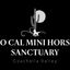 So Cal Mini Horse Sanctuary