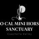 So Cal Mini Horse Sanctuary
