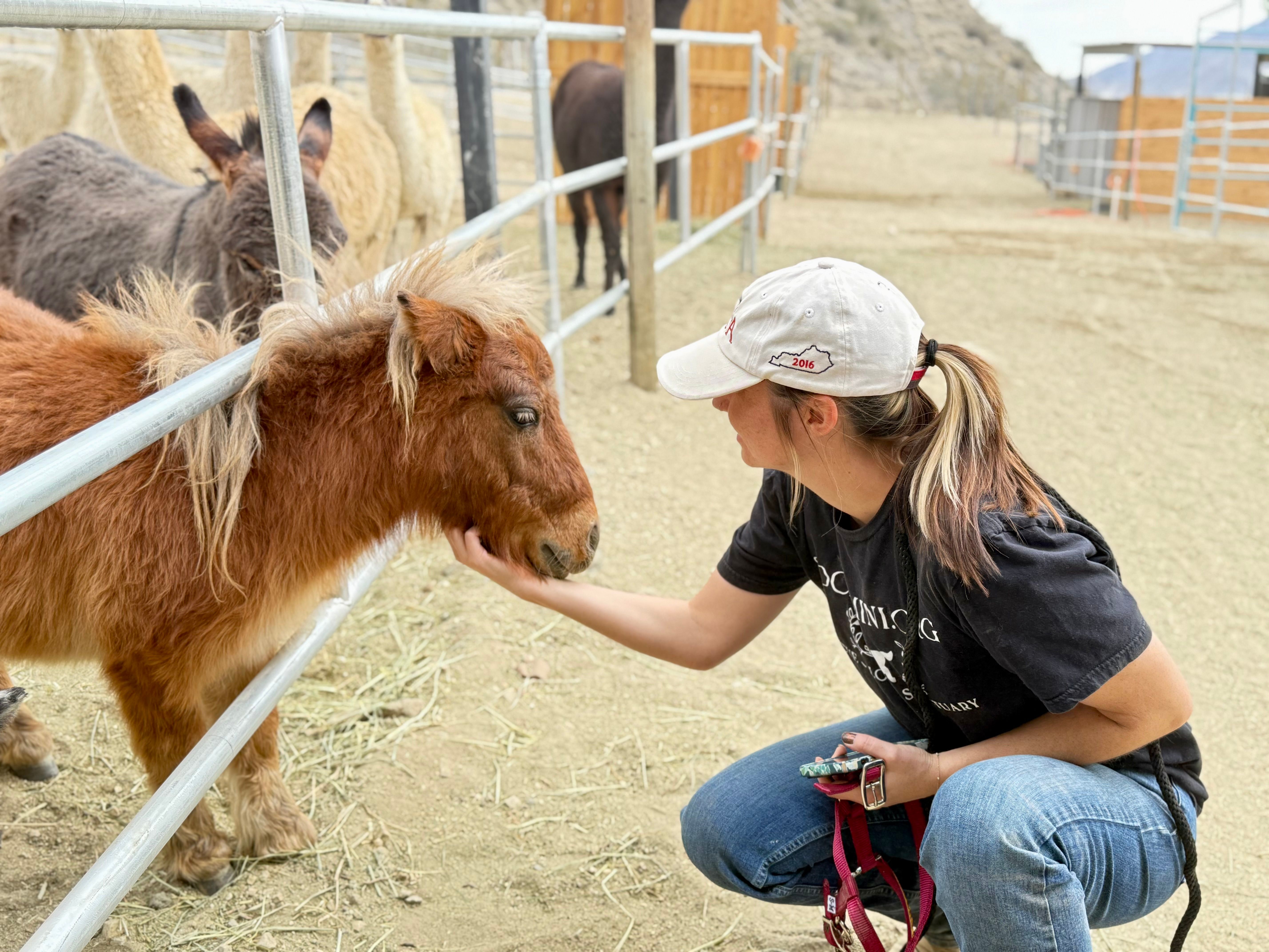 So Cal Mini Horse Sanctuary