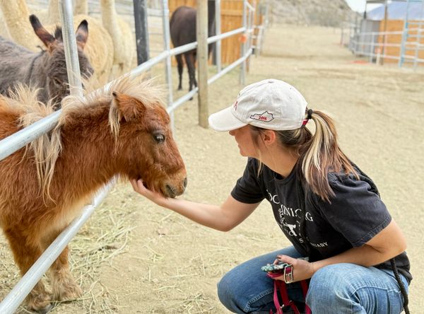 So Cal Mini Horse Sanctuary