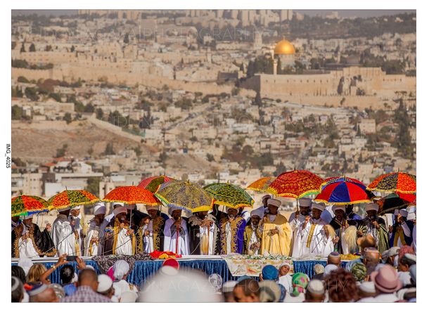 Friends of Ethiopian Jews, Inc.