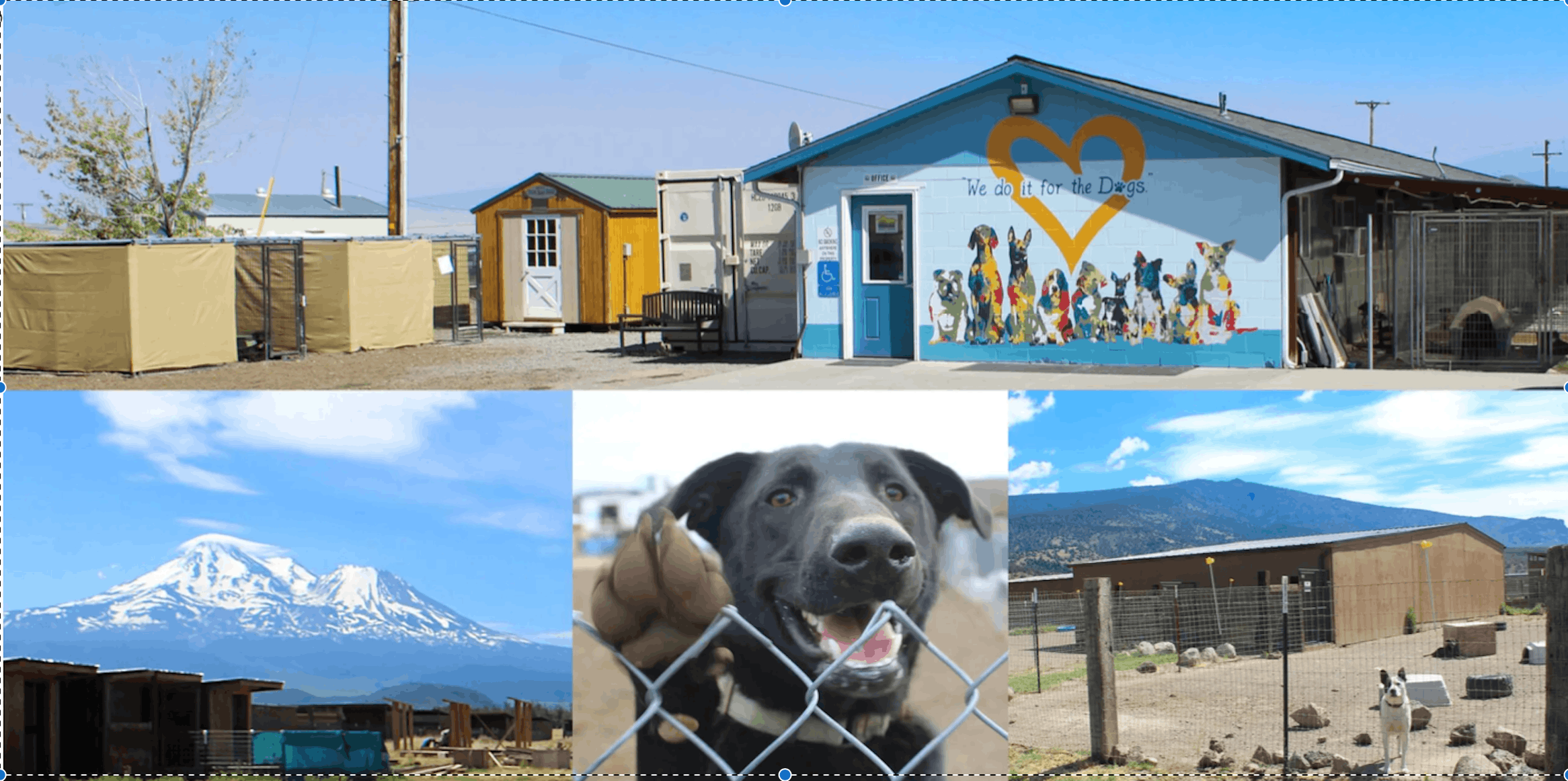 Rescue Ranch, Inc.
