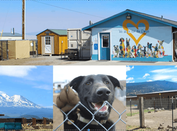 Rescue Ranch, Inc.