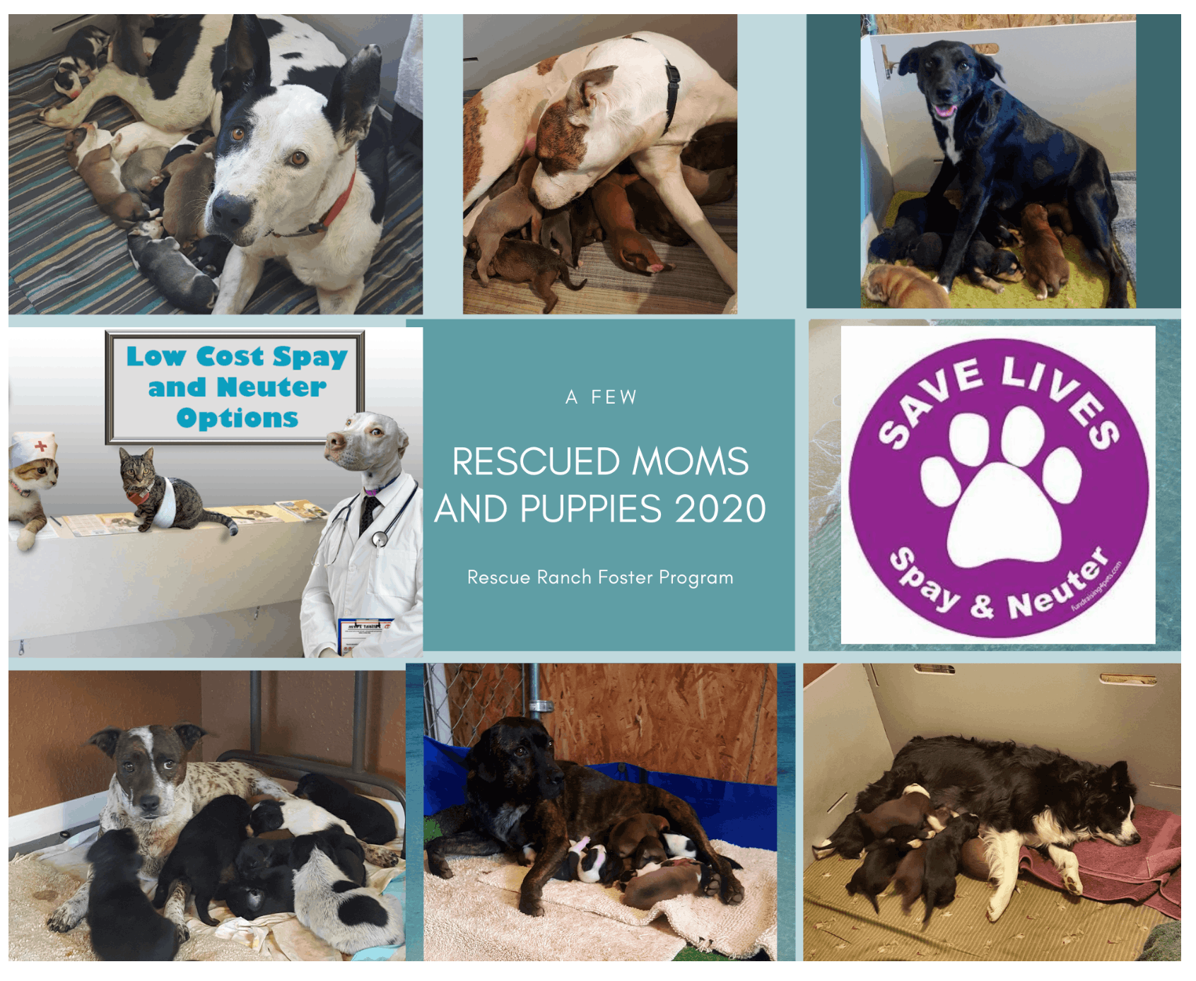 Rescue Ranch, Inc.