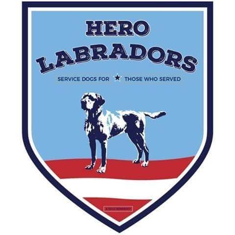 Hero Labradors