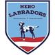 Hero Labradors