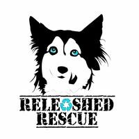 Releashed Rescue