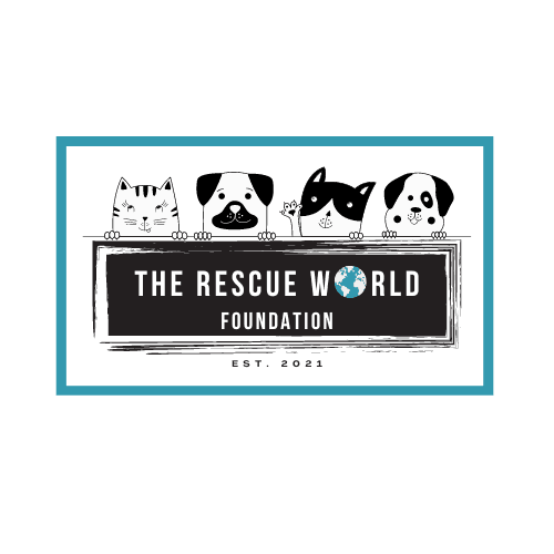 The Rescue World
