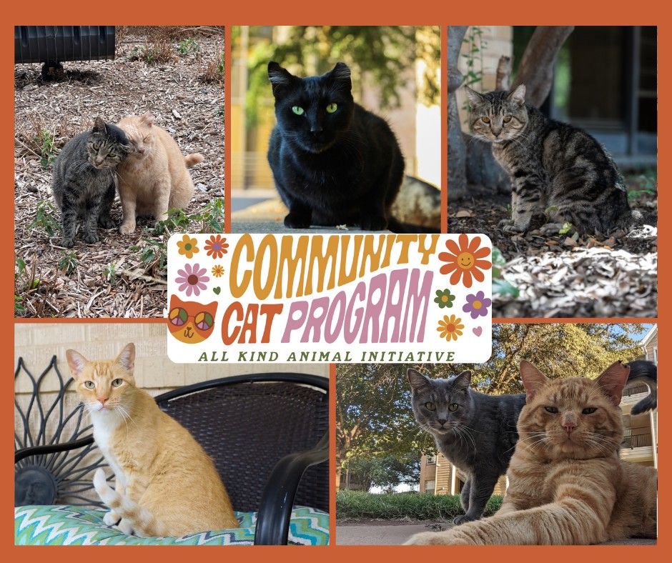 All Kind Animal Initiative