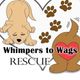 Whimpers To Wags Rescue, Inc.