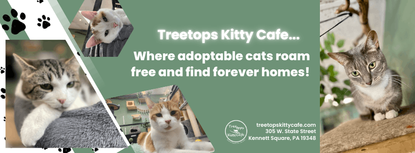 TreeTops Animal Rescue